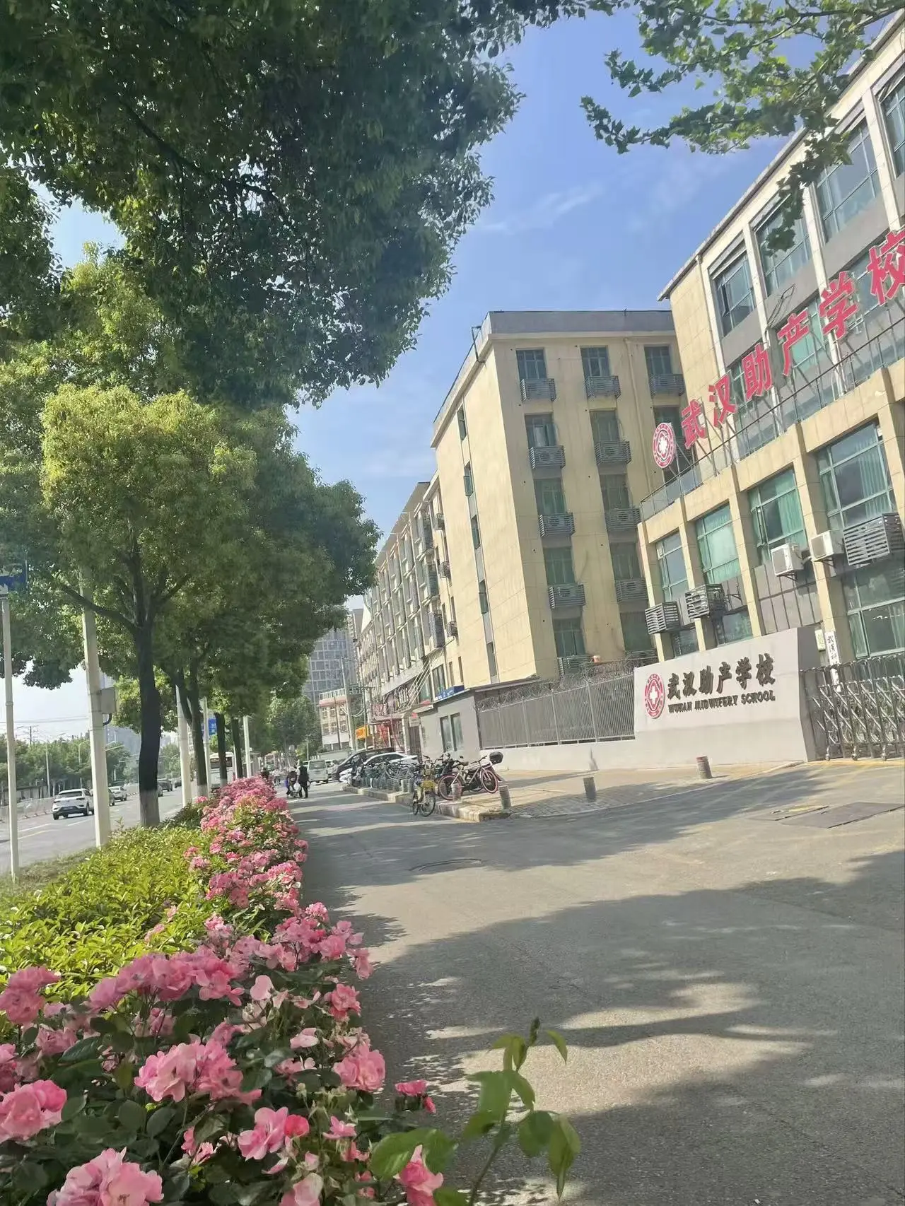 招生简章